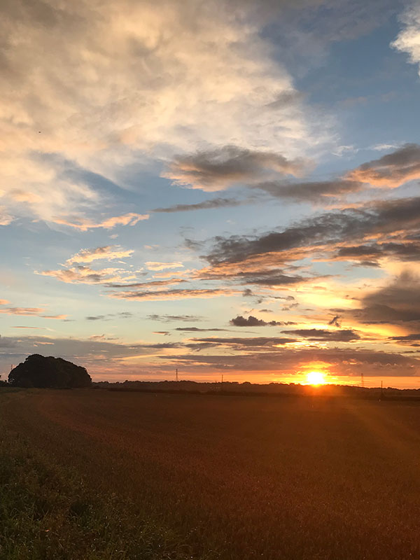 a farmers field at sunset